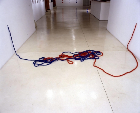 Michael Petry, The Lovers (Tie a Knot in it Series), 2007, 2 x 100 yards of knotted rope, shape variable, viewers can alter shape at will