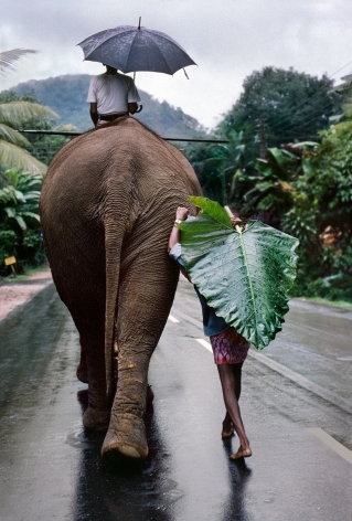 A young farmer walks next to an elephant, Kandy, Sri Lanka, 1995, ultrachrome print,&nbsp;60 x 40 inches/152.4 x 101.6 cm