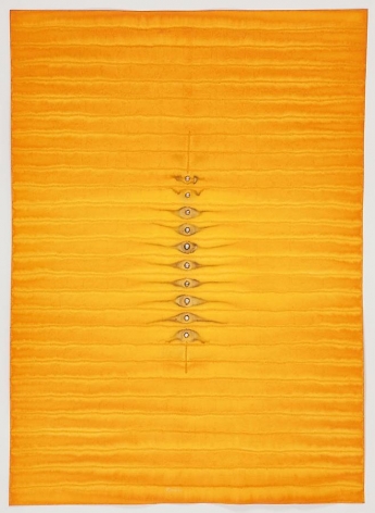 Sohan Qadri, Adya V, 2010, ink and dye on paper, 55 x 39 inches