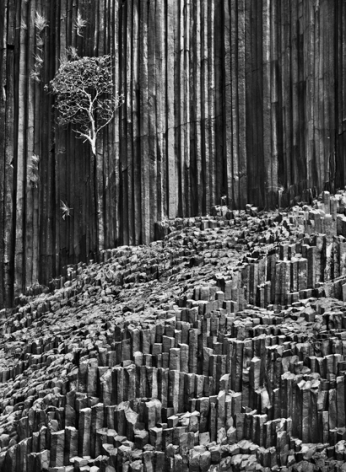 Basaltic organ pipes on Mitsio Island, Madagascar, 2010, gelatin silver print,&nbsp;35 x 24 inches/88.9 x 61 cm&nbsp;&copy; Sebasti&atilde;o Salgado/Amazonas Images