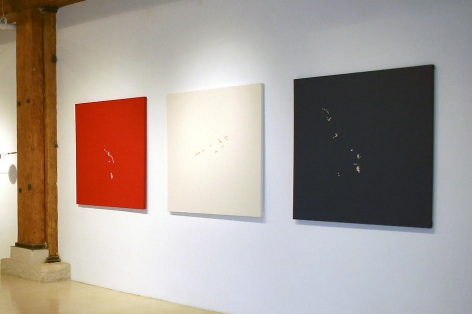 Michael Petry, The All Americans: Red, White, and Blue (Web Portrait Series), 2006-2007, Leather and fresh water pearls, 48 x 48 each