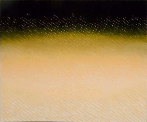 Curvature, 2009, Oil on canvas, 60 x 72&quot;