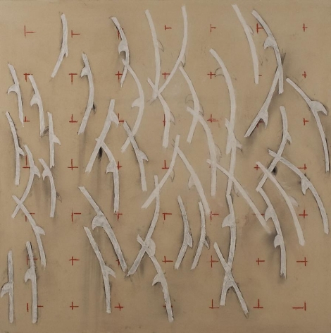 Envy Is Envy, 2010, pencil, powdered pigment, acrylic on canvas, 72 x 72 inches