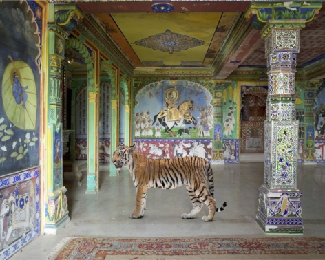 Karen Knorr, Arjuna&#039;s Path, Junha Mahal, Dungarpur, 2014, colour pigment print on Hahnemühle Fine Art Pearl Paper, 48 x 60 inches/122 x 152 cm