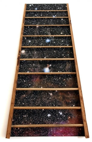 Barton&#039;s Ladder, 2012, inkjet and wood on canvas, 60 x 37 x 3.5 inches/152.4 x&nbsp;94 x 8.9 cm