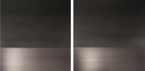 , Black Fuyu Winter diptych, 2014, urethane and pigment on aluminum, 36 x 72 inches/91.5 x 183 cm