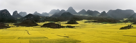 Canola Fields #2, Luoping, Yunnan Province, China,&nbsp;2011, chromogenic color print, 30.8 x 96 inches/78.2 x 243.8 cm, edition of 12