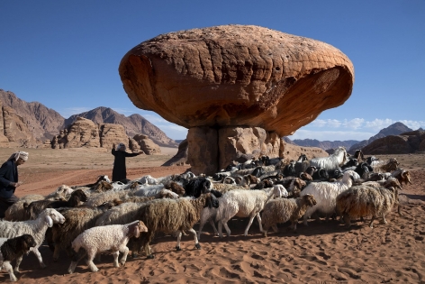 Shepherds lead their flock across the Wadi Rum desert, Jordan, 2019,&nbsp;chromogenic print, 20 x 24 inches/50.8 x 61 cm