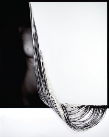 Loss, 2015, C-type print and hand-cut canvas, 43.7 x 42.5 inches/111 x 108 cm