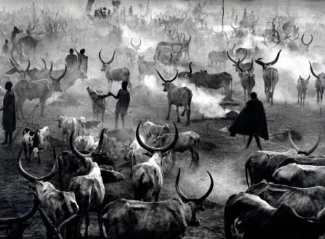 Dinka Cattle Camp of Amak at the End of the Day &copy; Sebasti&atilde;o Salgado/Amazonas Images, 2006 