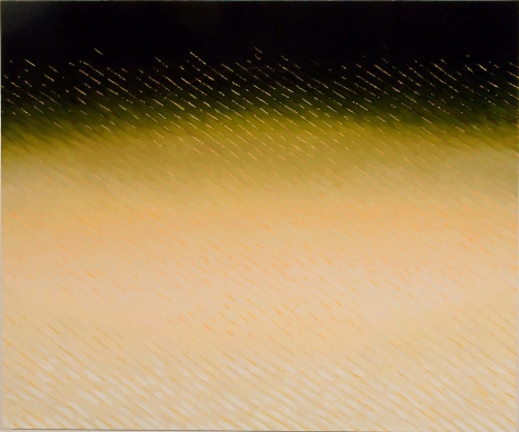 Curvature, 2007-2008, Oil on canvas, 60 x 72&quot;