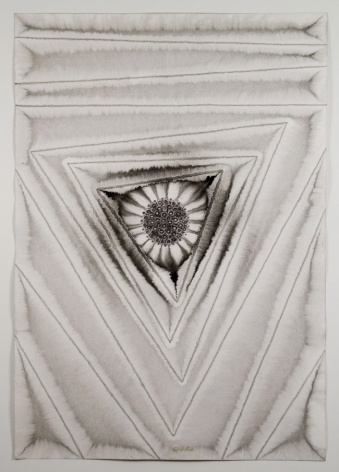 Puja III, 2006, ink and dye on paper,&nbsp;39 x 27&nbsp;inches/99.1 x 68.6&nbsp;cm